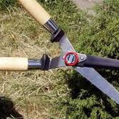 كيف-تختار-انواع-المقصات-المناسبة جعفر شوب