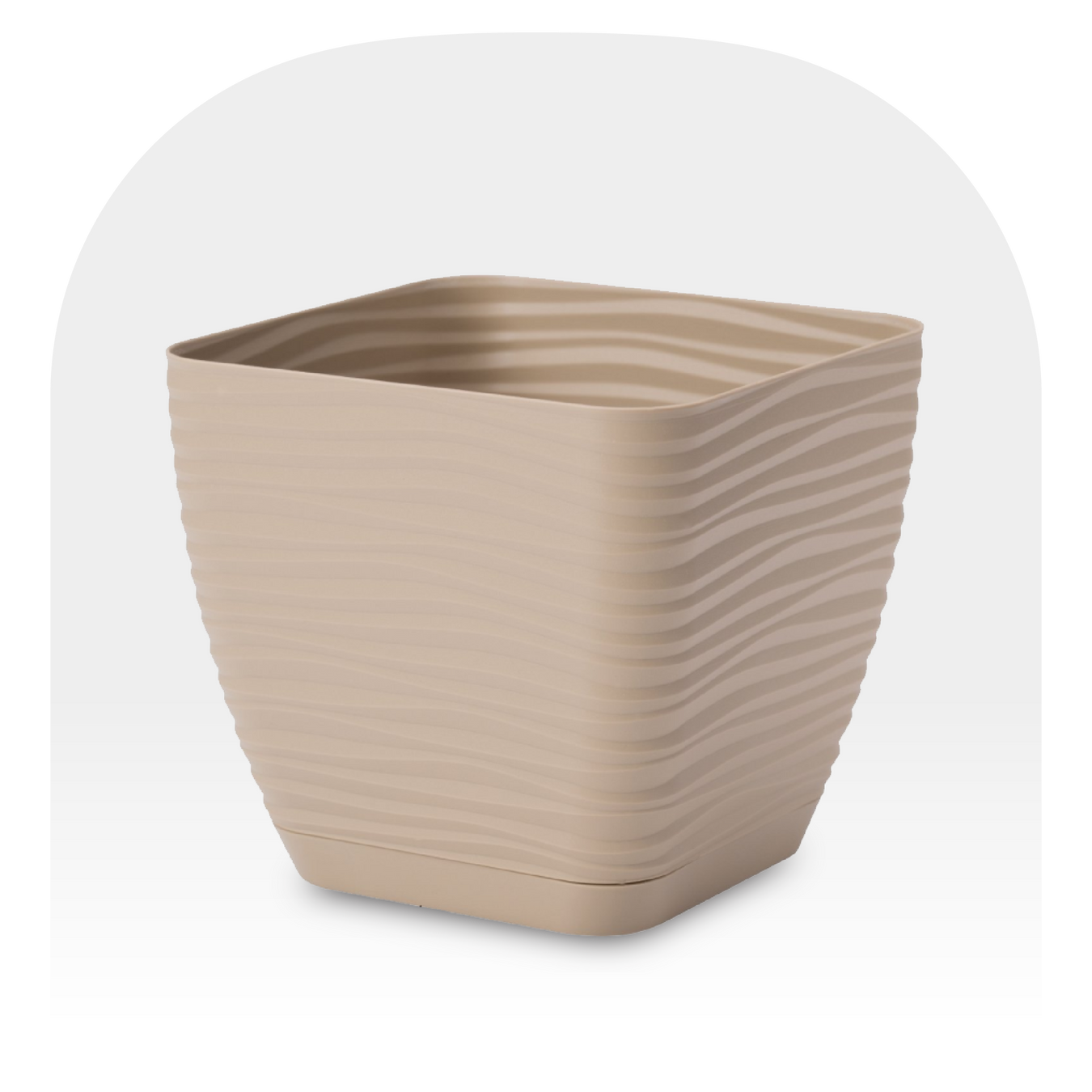 اوعية نباتات