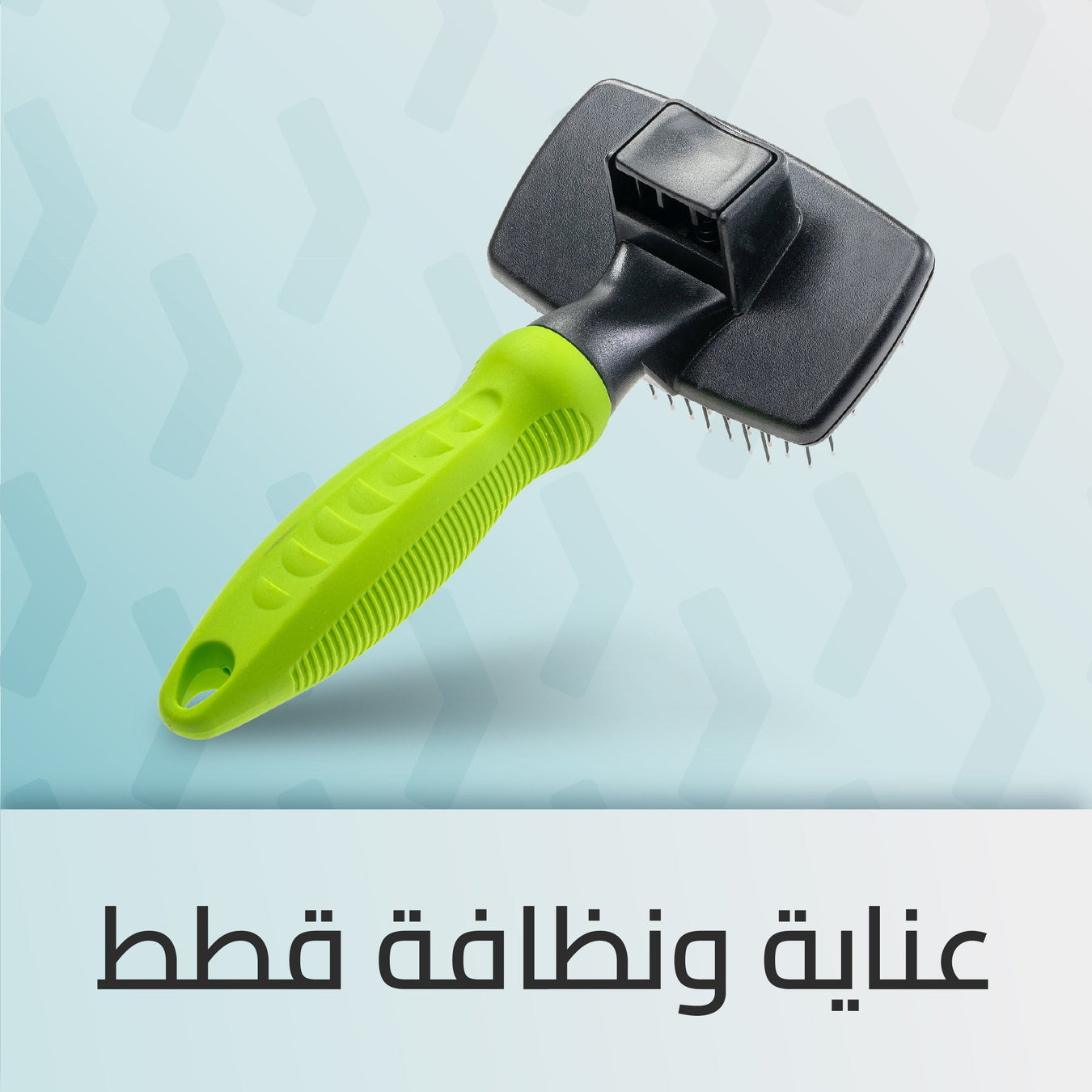 عناية ونظافة قطط