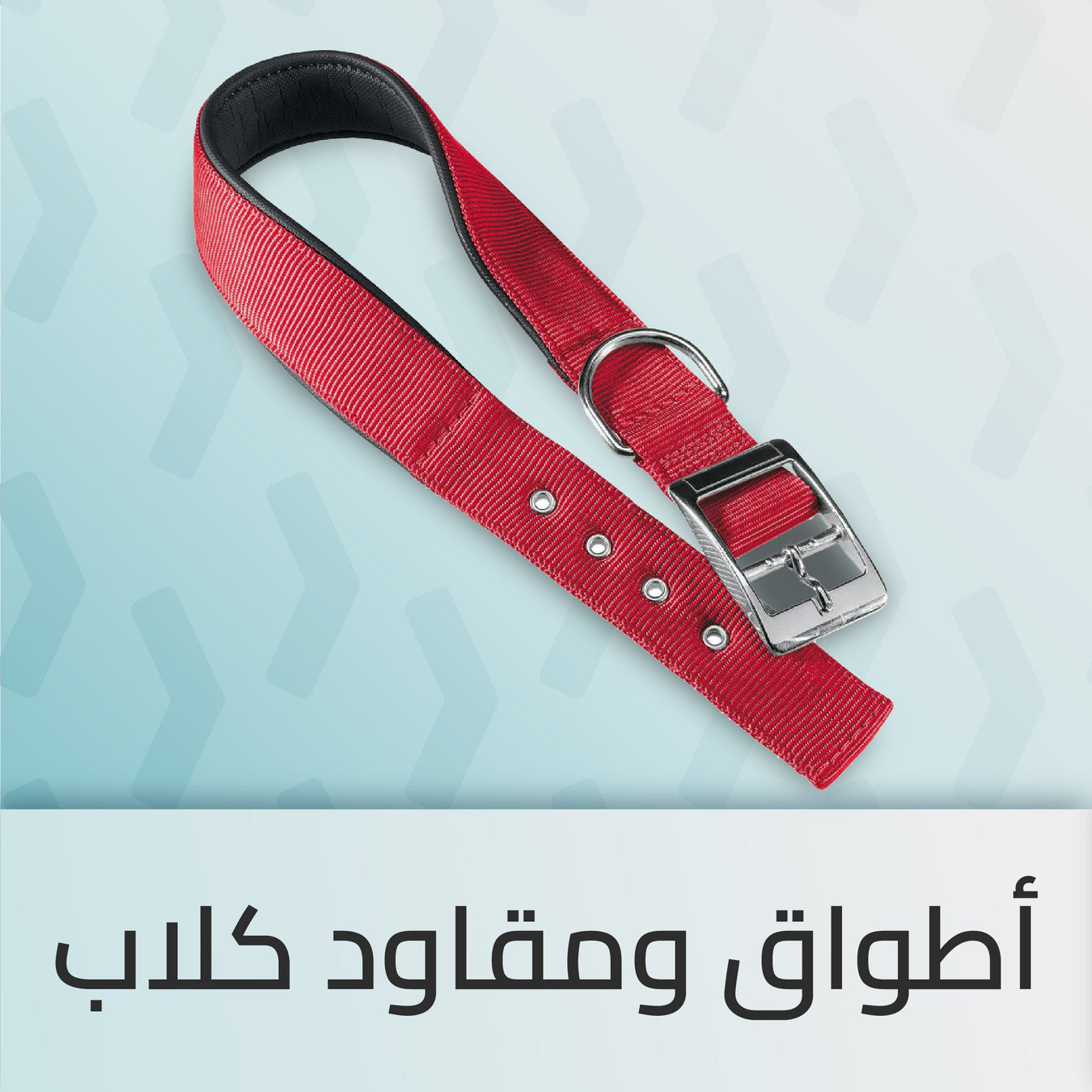 أطواق ومقاود كلاب