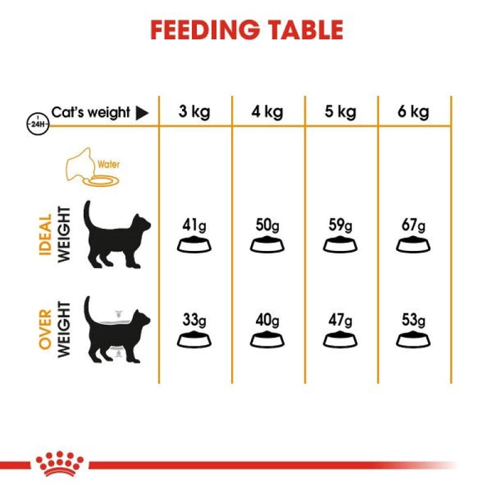 طعام جاف للقطط لدعم صحة الجلد والفرو بـ أوميغا 3 و6، 4 كجم من Royal Canin