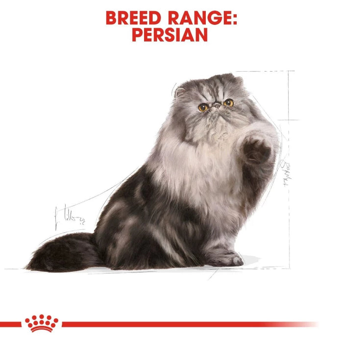 طعام جاف للقطط الفارسية للتحكم بكرات الشعر ودعم الهضم، 4 كجم من Royal Canin