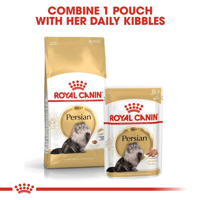 طعام جاف للقطط الفارسية للتحكم بكرات الشعر ودعم الهضم، 4 كجم من Royal Canin
