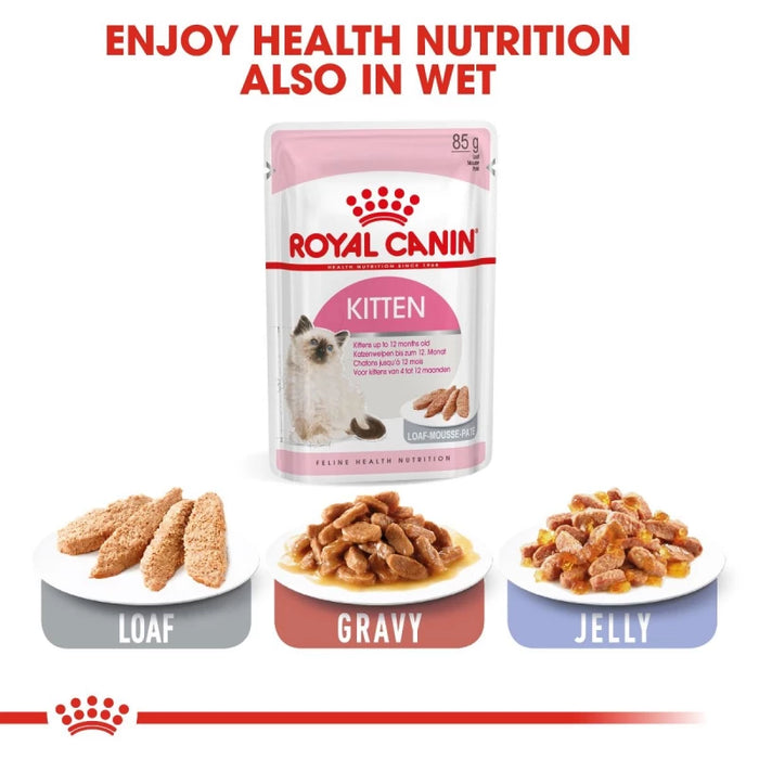 طعام جاف للقطط الصغيرة لدعم المناعة والنمو الصحي، 13 كجم من Royal Canin