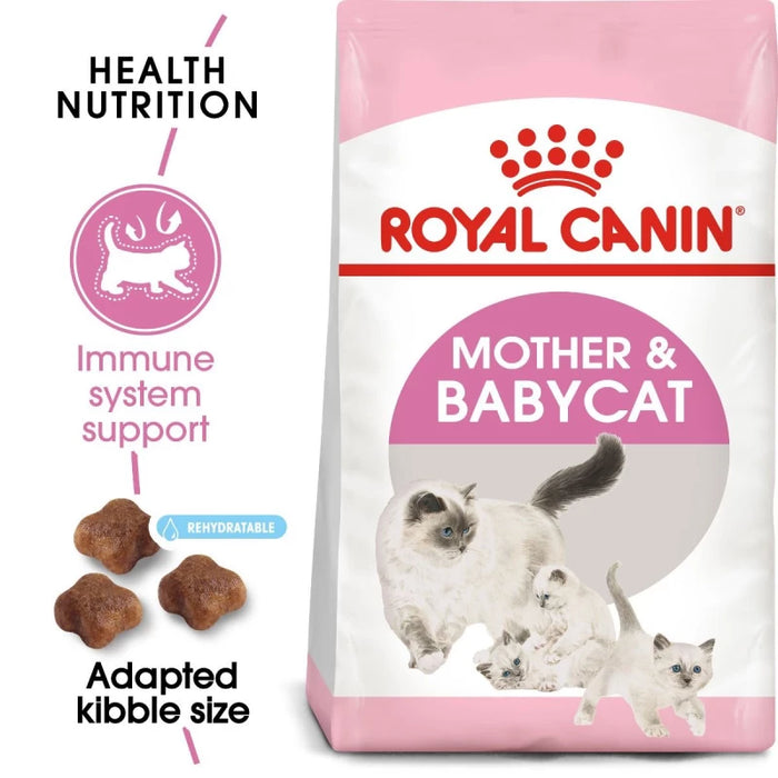 طعام جاف للأمهات والقطط الصغيرة لدعم الهضم وتطور الدماغ، 2 كجم من Royal Canin