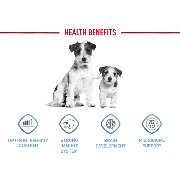 طعام جاف للجِراء الصغيرة لدعم المناعة وصحة الهضم، 8 كجم من Royal Canin