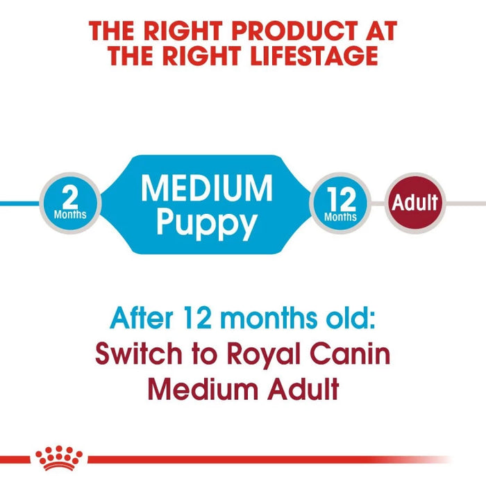 طعام جاف للجراء والأمهات الصغيرة (Mini Starter) لدعم الهضم، 1 كجم من Royal Canin