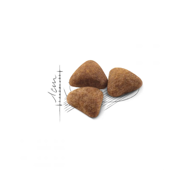 طعام جاف للقطط المنزلية للتحكم بالبراز وكرات الشعر، 2 كجم من Royal Canin