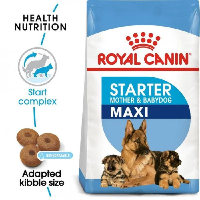 طعام جاف للأمهات والجراء الكبيرة (Maxi Starter) لدعم المناعة والهضم، 15 كجم من Royal Canin