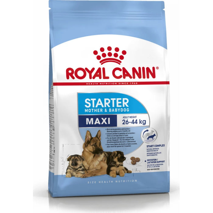 طعام جاف للأمهات والجراء الكبيرة (Maxi Starter) لدعم المناعة والهضم، 15 كجم من Royal Canin