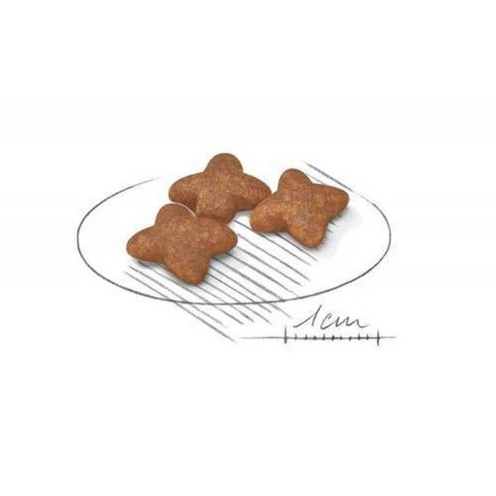 طعام جاف للكلاب الصغيرة البالغة لدعم الطاقة وصحة الجلد، 2 كجم من Royal Canin