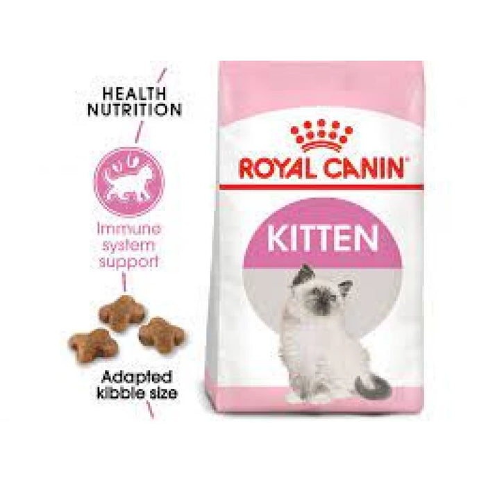 طعام جاف للقطط الصغيرة لدعم الهضم والعظام، 10 كجم من Royal Canin