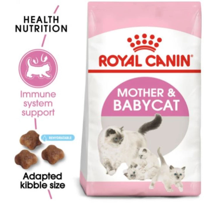 طعام جاف للأمهات والهريرات لتسهيل الفطام ودعم المناعة، 4 كجم من Royal Canin