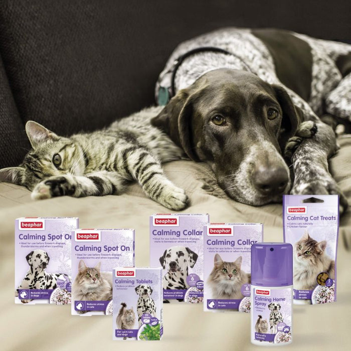 BEAPHAR Valerian Soothing Spray for Cats and Dogs