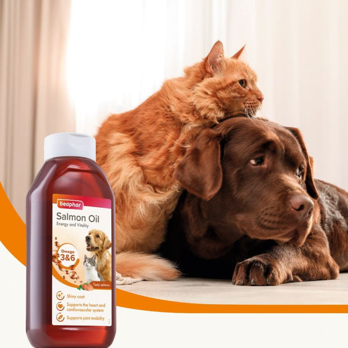 BEAPHAR Salmon Oil 425ml for Dogs and Cats Rich in Omega EPA DHA Supports Skin and Coat