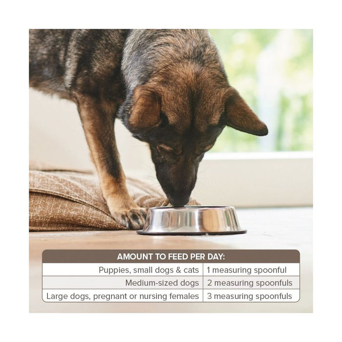 مسحوق بيوفار 500 جرام، مقوي عظام بال كالسيوم بطعم محبب وسهل الاستخدام.