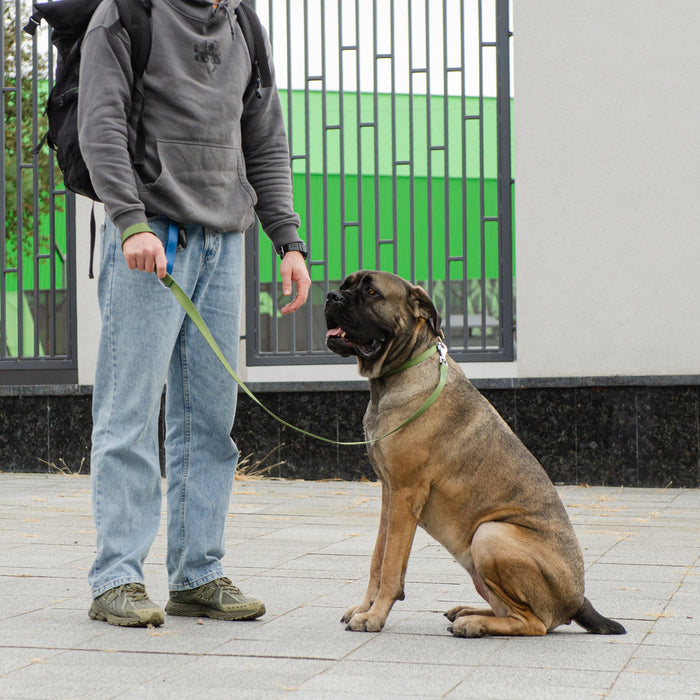 مقود نايلون أسود للكلاب من Ferplast