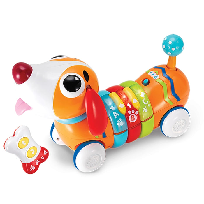 RC Rainbow Pup