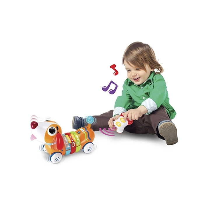 RC Rainbow Pup