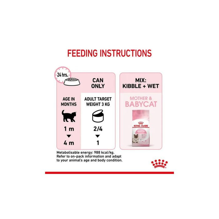 طعام رطب موس للهريرة والأم المرضعة، 195غ من ROYAL