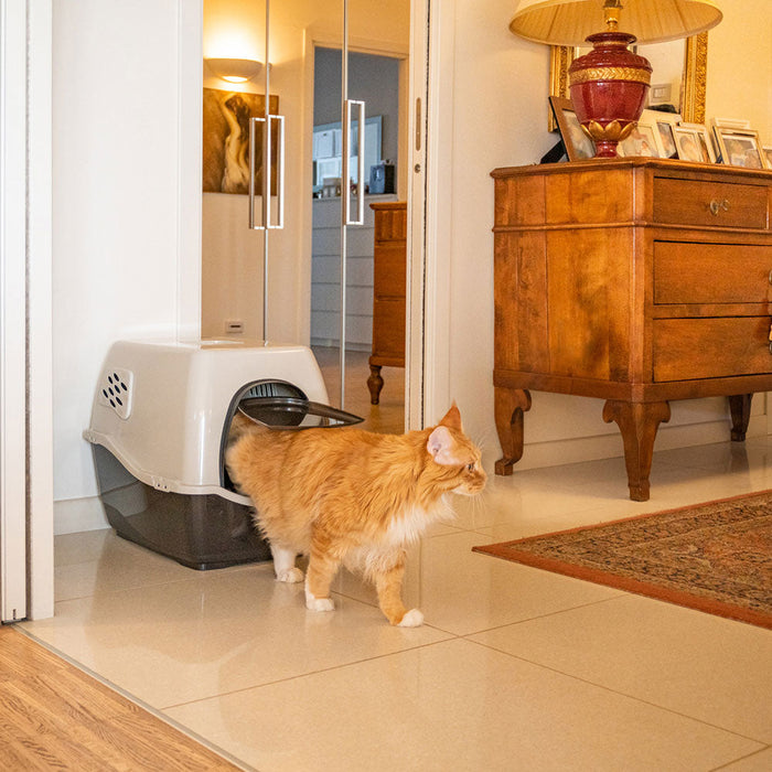 صندوق مرحاض للقطط الكبيرة من Ferplast