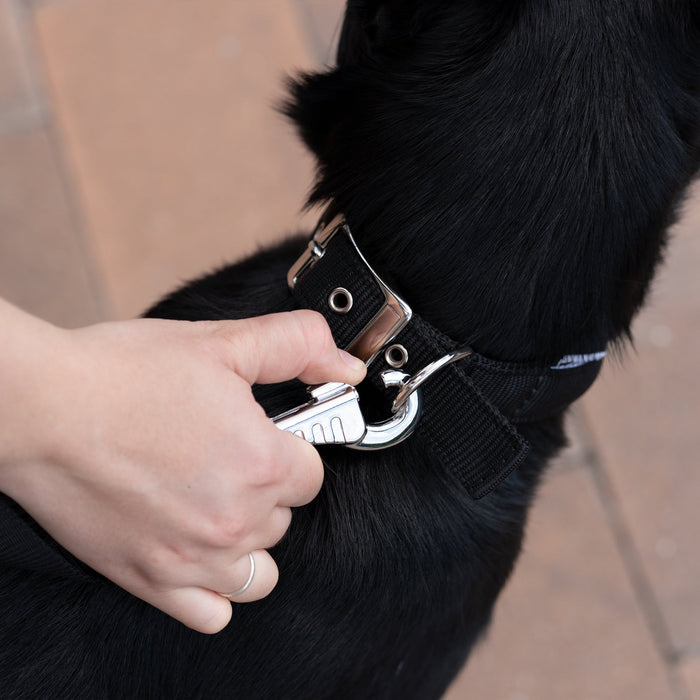 طوق نايلون أسود ببطانة ناعمة DAYTONA C20/43 للكلاب من Ferplast