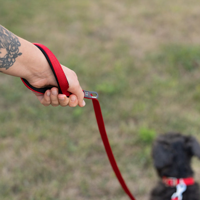 مقود نايلون أحمر 120 سم بمقبض مبطن للكلاب من Ferplast