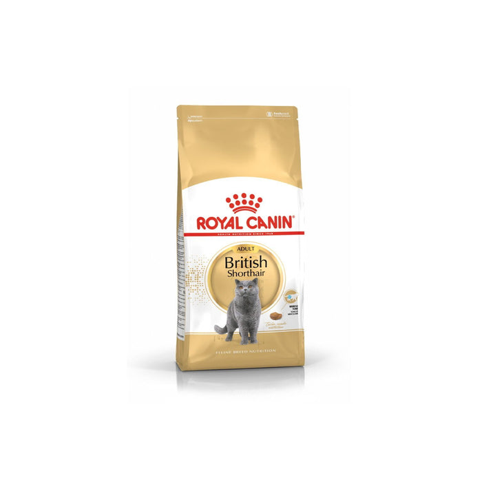 طعام جاف لهريرات سلالة بريتش شورتهير لدعم التطور الصحي، 4 كجم من Royal Canin