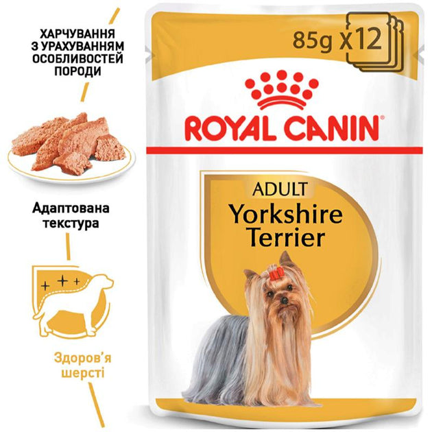 طعام رطب للكلاب البالغة من سلالة يوركشاير للحفاظ على صحة الجلد والفراء، 12x85غ من Royal Canin طعام رطب للكلاب البالغة من سلالة يوركشاير للحفاظ على صحة الجلد والفراء، 12x85غ من Royal Canin