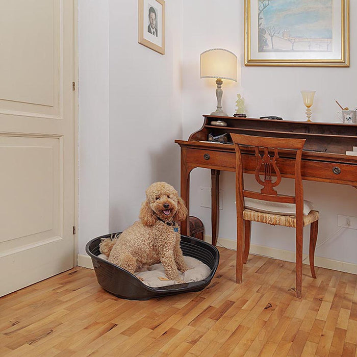 سرير بلاستيكي أزرق مقاس 4 للكلاب من Ferplast