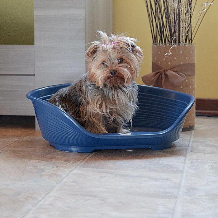 سرير بلاستيكي أزرق مقاس 4 للكلاب من Ferplast