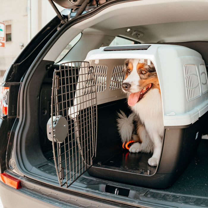 حاملة كلاب مقاس 4+ من Ferplast