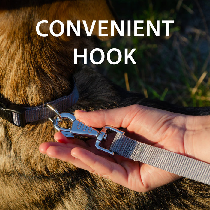 مقود نايلون أحمر متين للكلاب من Ferplast