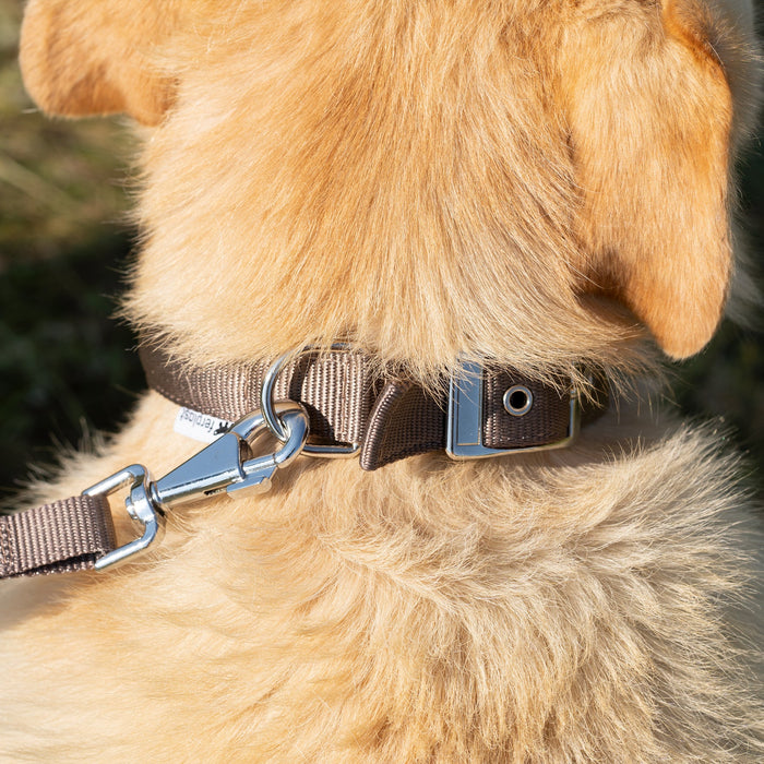 طوق نايلون أسود ببطانة مريحة DAYTONA C40/63 للكلاب من Ferplast