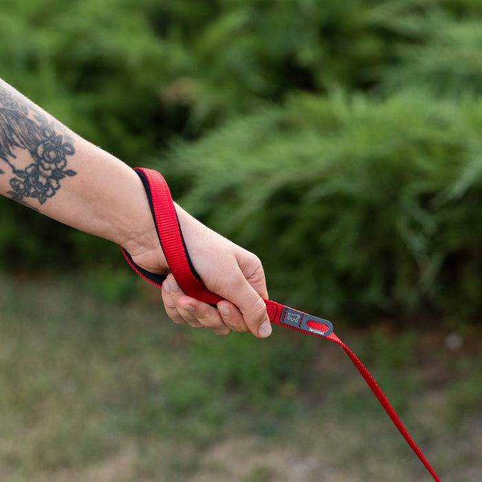 مقود نايلون أحمر 120 سم بمقبض مبطن للكلاب من Ferplast