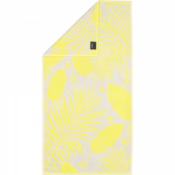 منشفة استحمام 70*140 سم من Cawo