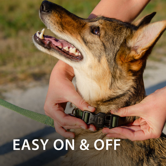 طوق نايلون أحمر CLUB C25/70 للكلاب من Ferplast