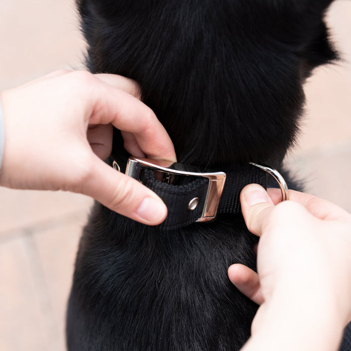 طوق نايلون أسود DAYTONA C30/55 للكلاب من Ferplast