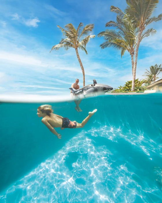 لعبة ركوب قرش أبيض كبير قابلة للنفخ لبركة السباحة