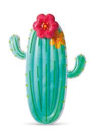 CACTUS FLOAT CACTUS FLOAT