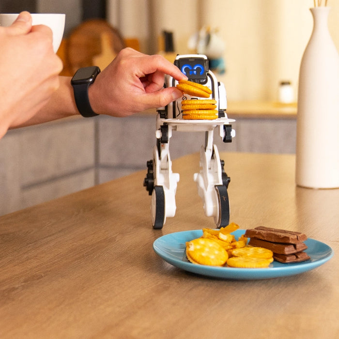 روبوت قابل للبرمجة Robo Up مع 4 ألعاب مدمجة ووحدة تحكم للتحكم الذكي من سيلفرليت