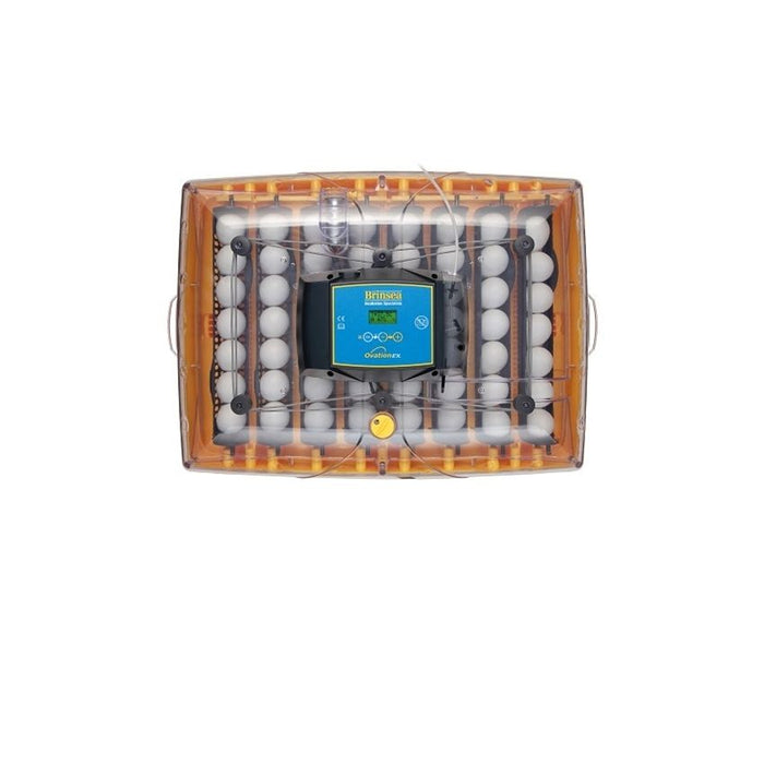 حاضنة البيض أوفيشن 56 EX بتحكم أوتوماتيكي وبيئة مثالية للفقس