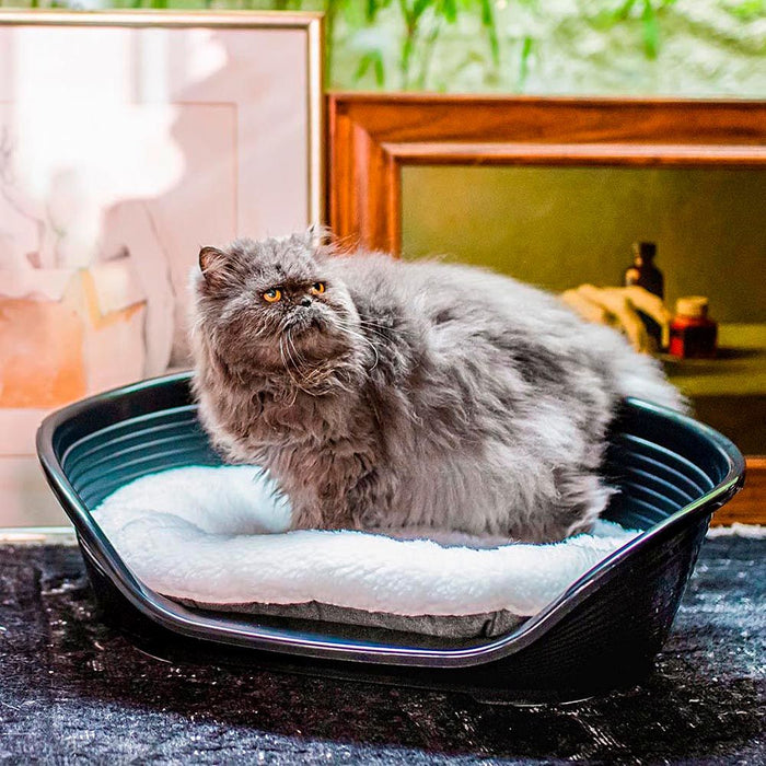 سرير بلاستيكي أبيض مقاس 6 للكلاب من Ferplast