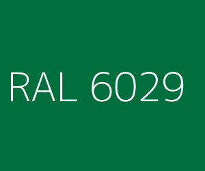 سبريه دهان اكرليك ايطالي VMD100 RAL6029