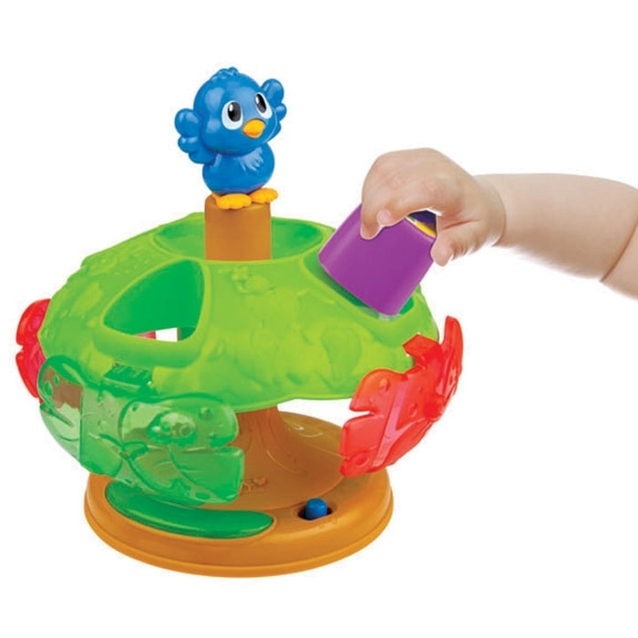 Sort 'N Spin Surprise