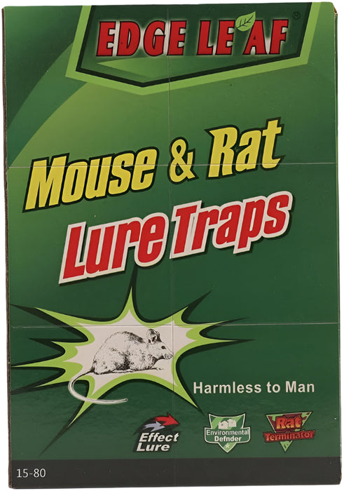 Super sticky mouse glue for catching rodents without toxic materials