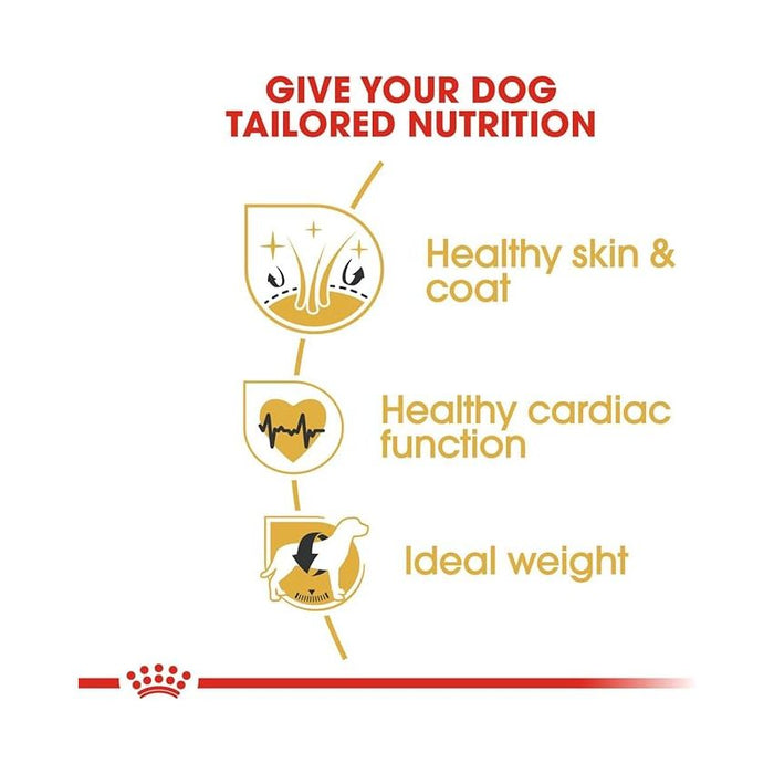 طعام جاف لكلاب جولدن ريتريفر البالغة، 12كغ من ROYAL