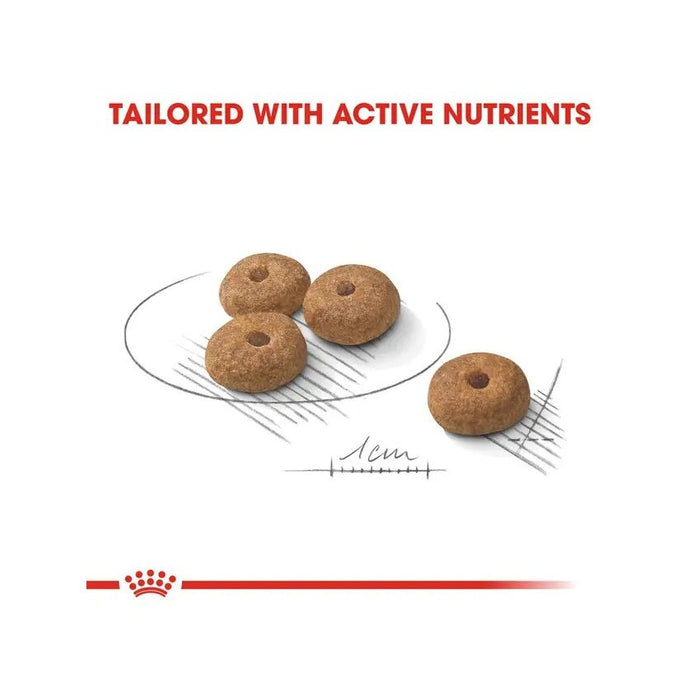 طعام جاف للكلاب الصغيرة المعقمة، 1كغ من ROYAL