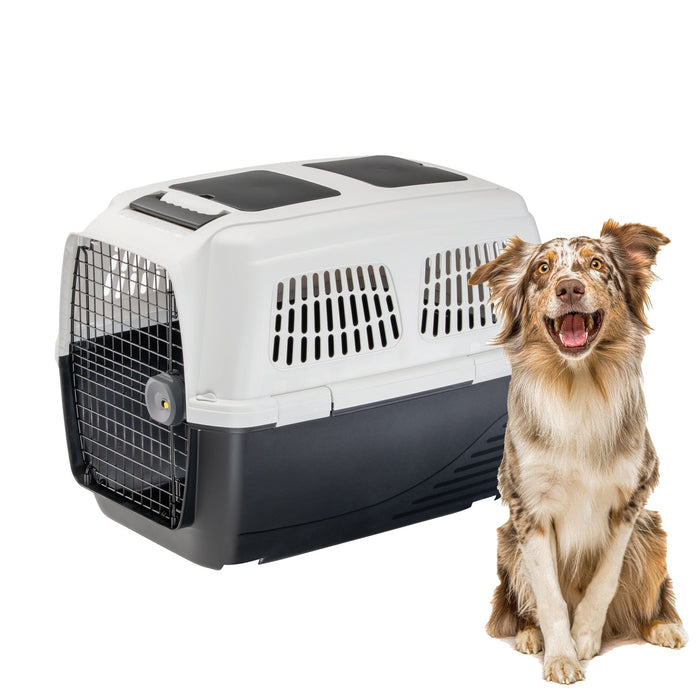 حاملة كلاب مقاس 4+ من Ferplast