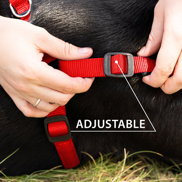 حزام نايلون أحمر مبطن مقاس MED للكلاب من Ferplast